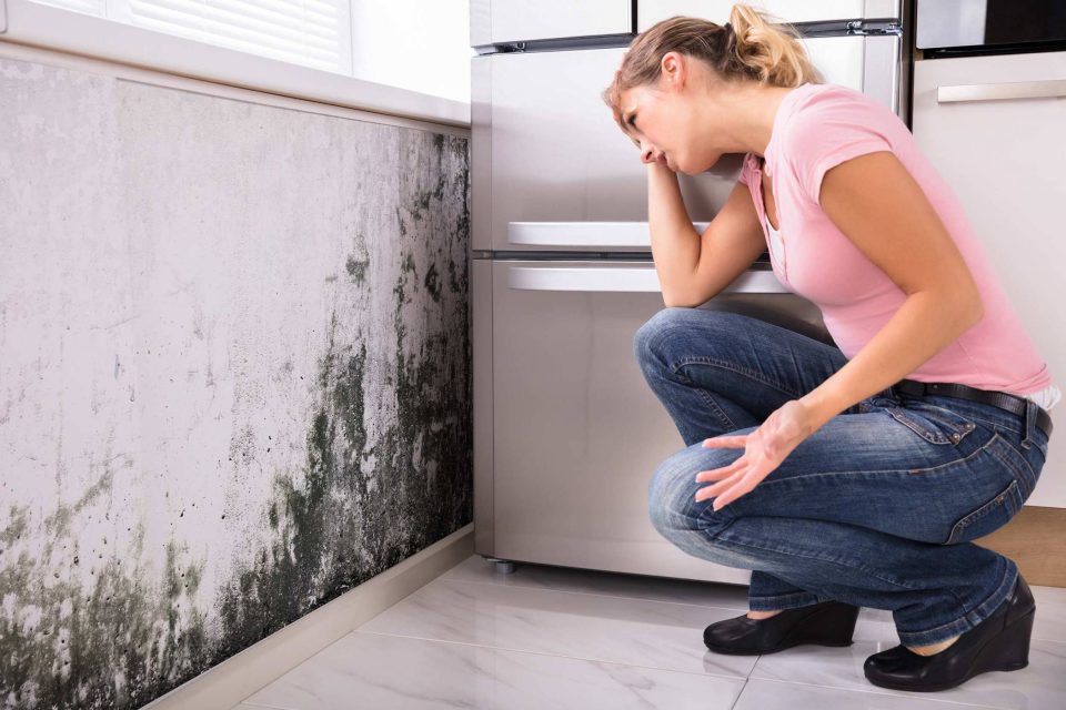 Person inspecting mold growth for potential mold removal by the refrigerator.
