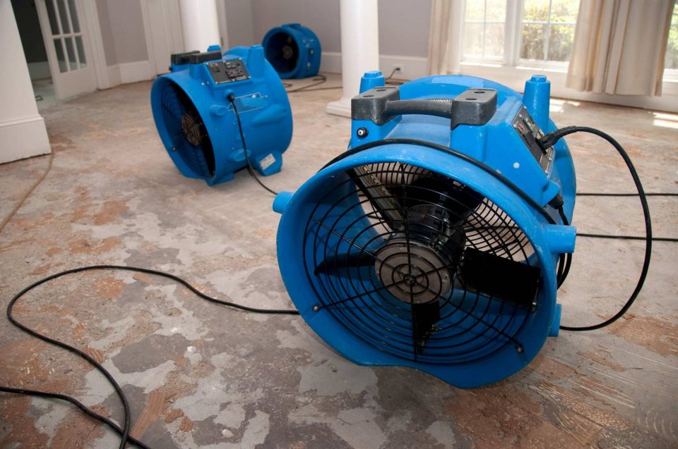 Three blue industrial fans on a stripped wooden floor.