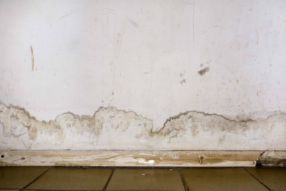 Blog about a water-damaged wall with mold above a tiled floor.