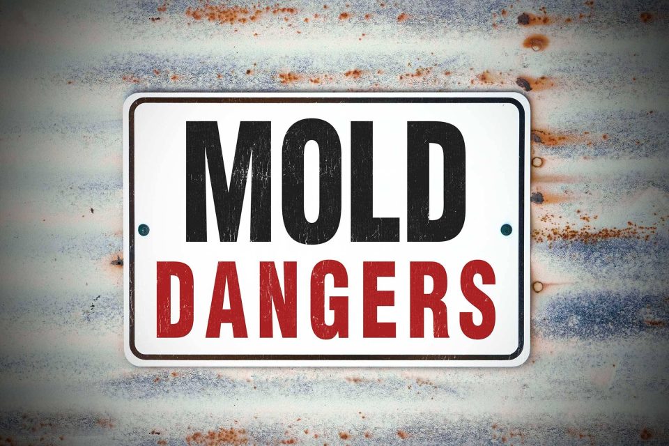 Sign reading Mold Dangers on rusted, corrugated metal hints at mold removal needs.