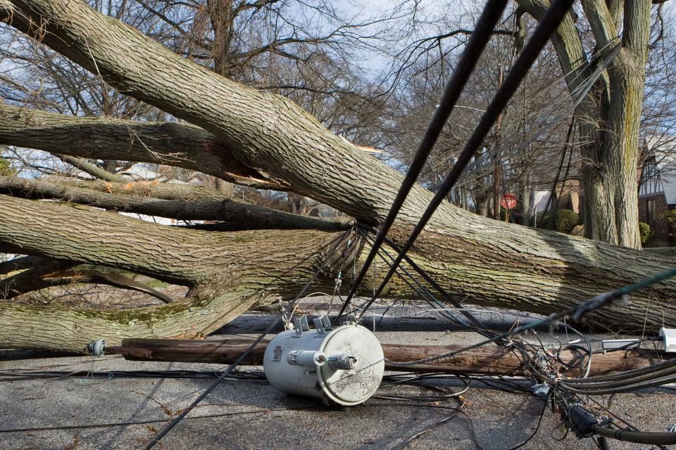 Fallen tree on power lines and road; storm damage breaks pole.